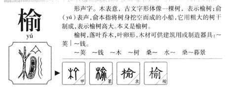 榆姓名學|榆字取名的寓意